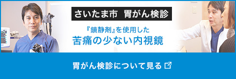 さいたま市　胃がん検診　「鎮静剤」を使用した苦痛の少ない内視鏡　胃がん検診について見る